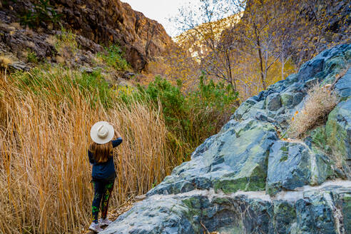 Frau wandert durch den Wasserfall und den Artist Palette Drive, Death Valley, Kalifornien, Vereinigte Staaten von Amerika, Nordamerika - RHPLF19413