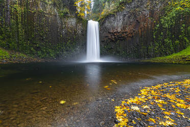 Abiqua Falls im Herbst, Scotts Mills, Marion county, Oregon, Vereinigte Staaten von Amerika, Nordamerika - RHPLF19415