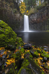 Abiqua Falls im Herbst, Scotts Mills, Marion county, Oregon, Vereinigte Staaten von Amerika, Nordamerika - RHPLF19417