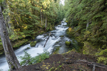 Sahalie Falls im Herbst, McKenzie Bridge, Lane county, Oregon, Vereinigte Staaten von Amerika, Nordamerika - RHPLF19418