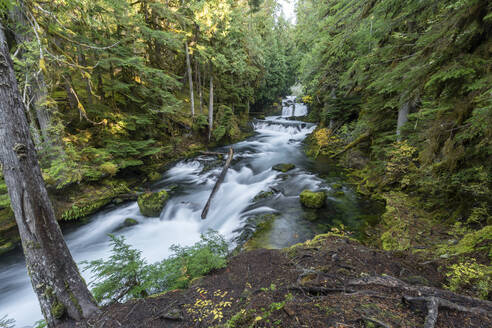 Sahalie Falls im Herbst, McKenzie Bridge, Lane county, Oregon, Vereinigte Staaten von Amerika, Nordamerika - RHPLF19418