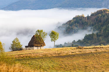 Ländliche Landschaft im Apuseni-Gebirge, Rumänien, Europa - RHPLF19431
