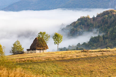 Ländliche Landschaft im Apuseni-Gebirge, Rumänien, Europa - RHPLF19431
