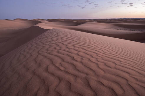 Blaue Stunde auf den Sanddünen der Sahara-Wüste, Erg Chebbi, Merzouga, Marokko, Nordafrika, Afrika - RHPLF19478
