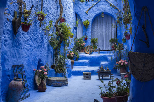 Die blaue Stadt Chefchaouen, Marokko, Nordafrika, Afrika - RHPLF19480