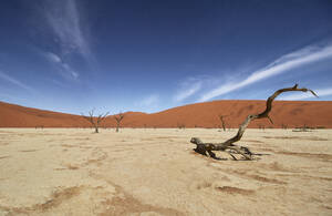 Deadvlei, nahe Sossusvlei, ein trockener See mit abgestorbenen Bäumen in der Wüste aus roten Sanddünen, Namib-Wüste, Namibia, Afrika - RHPLF19499