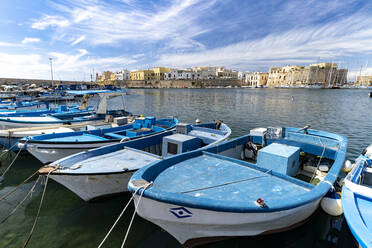 Fischerboote im Hafen mit alter Burg und Stadt im Hintergrund, Gallipoli, Provinz Lecce, Salento, Apulien, Italien, Europa - RHPLF19548