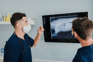 Seitenansicht von nicht erkennbaren männlichen Tierärzten in Masken, die auf einen Monitor mit Röntgenbildern im Krankenhaus schauen - ADSF22641