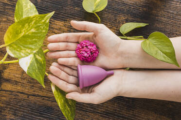 Frauenhand mit Menstruationsbecher und Blume, umgeben von einem Pothos-Blatt - MGRF00207