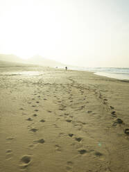 Spanien, Kanarische Inseln, Fuerteventura, Sandstrand Playa de Cofete bei Sonnenuntergang - CVF01701