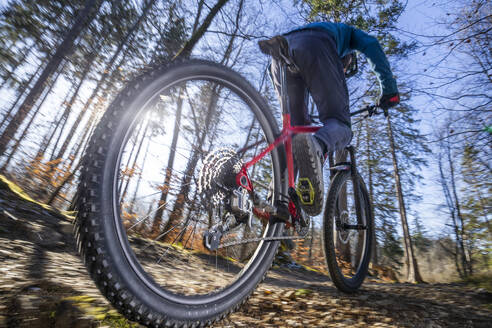 Male athlete riding mountain bike in forest - RNF01321