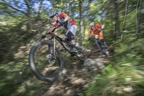 Männliche Radfahrer auf Mountainbikes fahren im Wald abwärts - RNF01328