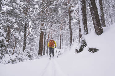 Junger Mann mit gelber Tourenjacke und orangefarbenem Rucksack beim Skifahren in einem Schneesturm in den Wäldern der Sierra de Guadarrama - CAVF93774