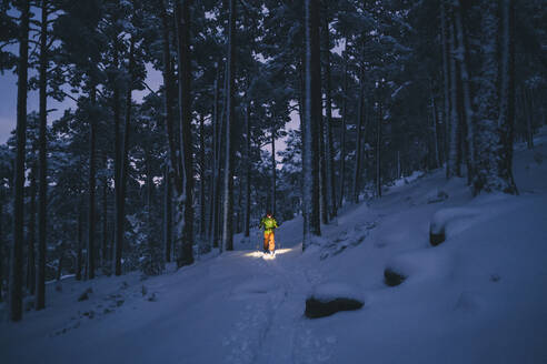 Junger Skiläufer mit Stirnlampe inmitten von Kiefern während der blauen Stunde in der Sierra de Guadarrama, Spanien - CAVF93775