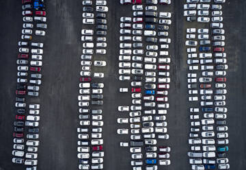 Huge yard with new cars parked - CAVF93784