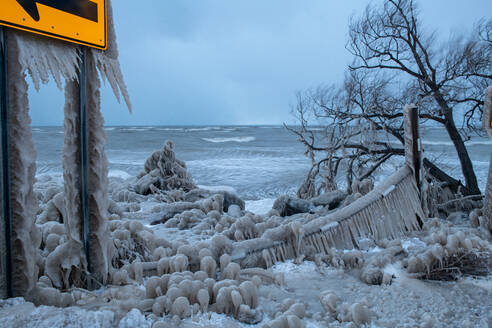 Bäume im Wintersturm auf dem Eriesee vom Eis eingeschlossen - CAVF93821