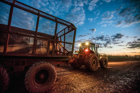 Harvesting sugarcane as part of biofuels production in Brazil - CAVF93868