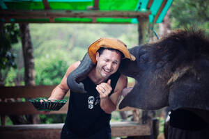 Elefant, der einen Mann küsst, während er in Thailand gefüttert wird. - CAVF93954