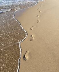 Steps on the sand on the Atlantic coast - CAVF93975