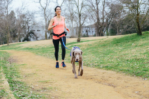 Ganzkörperaufnahme einer jungen, fitten Frau, die zusammen mit einem Weimaraner-Hund während eines Trainings im Freien im Park läuft - ADSF22934