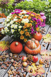 Herbsternte mit Blumenstrauß aus blühenden Chrysanthemen, verschiedenen Nüssen, Äpfeln, Kürbis, Kürbissen und Weinblättern - GWF06972