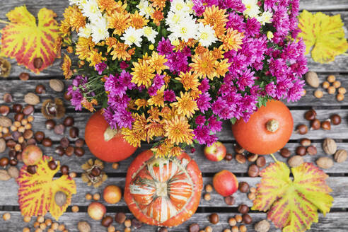 Herbsternte mit Blumenstrauß aus blühenden Chrysanthemen, verschiedenen Nüssen, Äpfeln, Kürbis, Kürbissen und Weinblättern - GWF06974