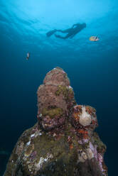 Silhouette eines weiblichen Tauchers, der über eine Unterwasser-Felsformation schwimmt - TOVF00242