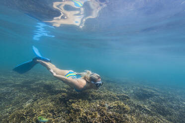 Underwater view of young woman diving in Java Sea - TOVF00244