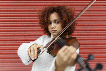 Happy beautiful professional female musician in white sweater playing acoustic violin and looking at camera with toothy smile against red wall - ADSF23019