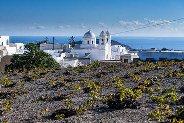 Griechenland, Santorini, Megalochori, Kleiner Weinberg vor einem Küstendorf - RUNF04283