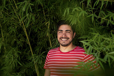Lächelnder Mann inmitten von Bambuspflanzen - FLMF00399