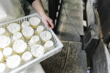 Männlicher Unternehmer hält Käse in einer Plastikschale - DGOF02135
