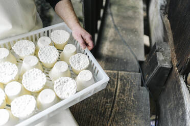 Male entrepreneur holding cheese in plastic tray - DGOF02135