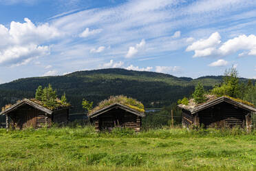 Traditional wooden farmhouses of Vest-Telemark Museum - RUNF04290