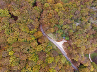 Aerial view of highway cutting through autumn forest in Monte Cucco Park, Umbria, Italy - LOMF01289