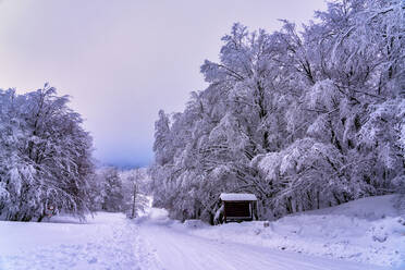 Schneebedeckte Straße auf der Hochebene von Pian delle Macinare, Umbrien, Italien - LOMF01293