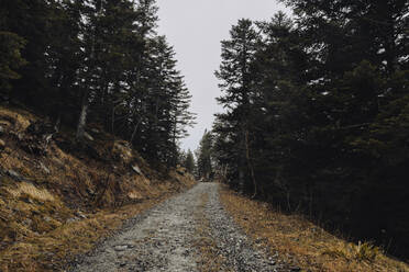 Spain, Huesca, Benasque, Footpath through forest on autumn day - ACPF01208