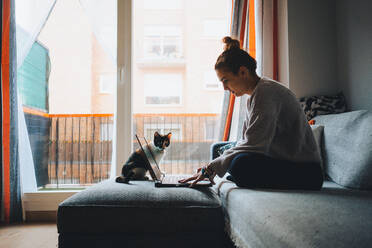 Crop of young female freelancer in casual clothes sitting on comfortable couch and working remotely on laptop near cute calico cat - ADSF23107