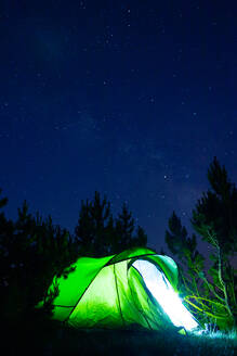 Grünes Zelt mit glänzendem Licht zwischen hohen Baumsilhouetten unter Sternenhimmel in der Abenddämmerung - ADSF23132
