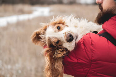 Cute dog chilling in the hands of man, winter scene - CAVF94011