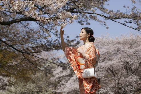 Schöne junge Frau im japanischen Kimono unter Kirschblütenbäumen - FSIF05691
