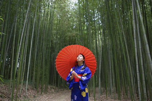 Junge Frau im Kimono mit Sonnenschirm schaut zu Bambusbäumen auf - FSIF05693