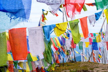 Buddhistische Gebetsfahnen, Chelela-Pass, Himalaya, Bhutan, Asien - RHPLF19608