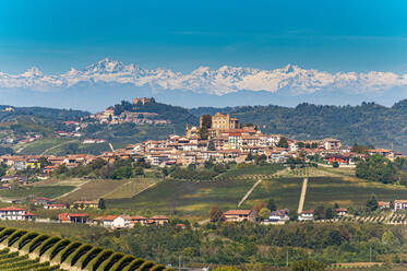 Weinberge mit den Alpen im Hintergrund, Weinregion Barolo, UNESCO-Welterbe, Piemont, Italien, Europa - RHPLF19629