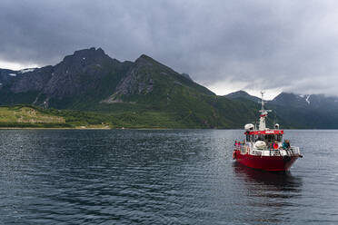 Little ferry bringing tourists to Svartisen glacier, Kystriksveien Coastal Road, Norway, Scandinavia, Europe - RHPLF19645