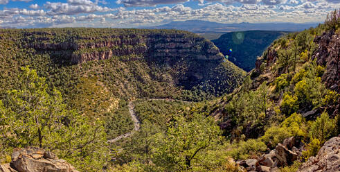Oberer Abschnitt des Bear Canyon in Richtung Süden im nordöstlichen Teil des Prescott National Forest in der Nähe von Drake, Arizona, Vereinigte Staaten von Amerika, Nordamerika - RHPLF19697