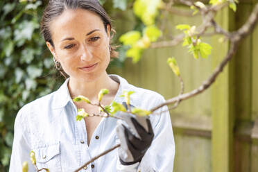Frau betrachtet einen Zweig, während sie im Garten steht - WPEF04319