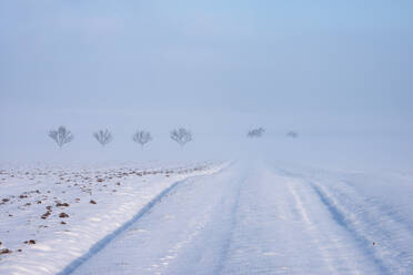 Deutschland, Baden Württemberg, Schneebedeckter Feldweg im Nebel - RUEF03255