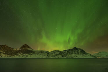Norwegen, Tromso, Bergsbotn, Blick auf die Aurora Borealis über dem Fjord - RUEF03281