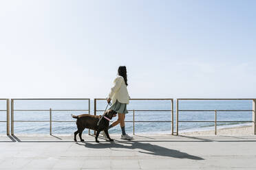 Mittlere erwachsene Frau, die mit ihrem Labrador-Hund an einem Geländer am Strand spazieren geht, während eines sonnigen Tages - AFVF08651